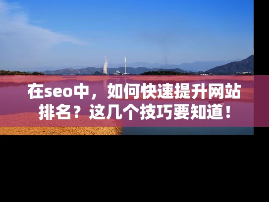 在seo中，如何快速提升网站排名？这几个技巧要知道！