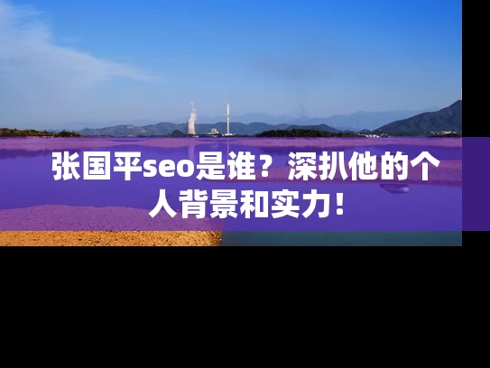 张国平seo是谁？深扒他的个人背景和实力！