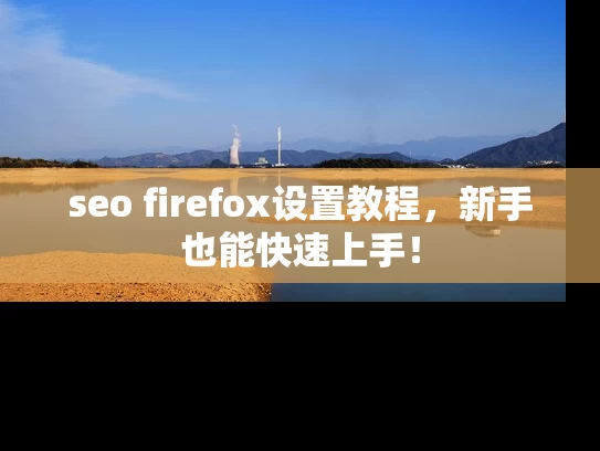 seo firefox设置教程，新手也能快速上手！