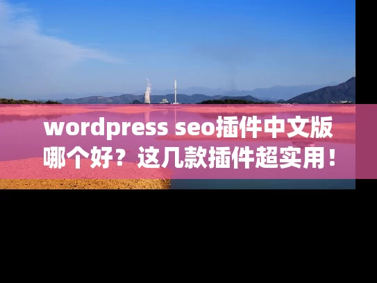 wordpress seo插件中文版哪个好？这几款插件超实用！