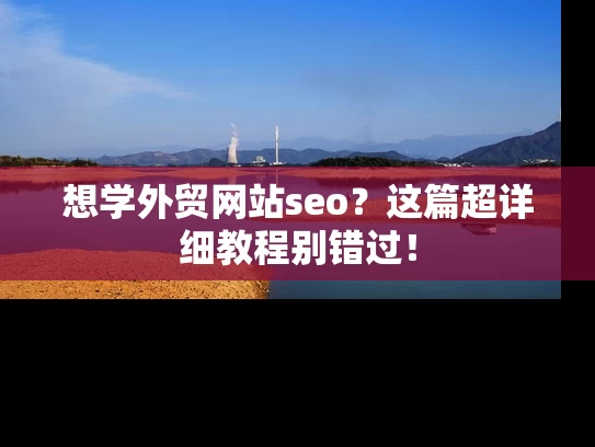想学外贸网站seo？这篇超详细教程别错过！