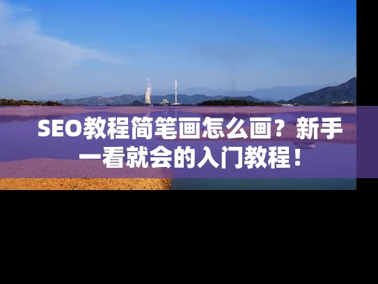 SEO教程简笔画怎么画？新手一看就会的入门教程！