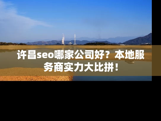 许昌seo哪家公司好？本地服务商实力大比拼！