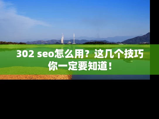 302 seo怎么用？这几个技巧你一定要知道！