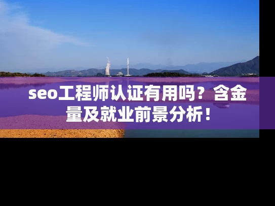 seo工程师认证有用吗？含金量及就业前景分析！