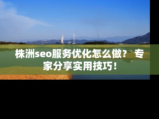 株洲seo服务优化怎么做？ 专家分享实用技巧！