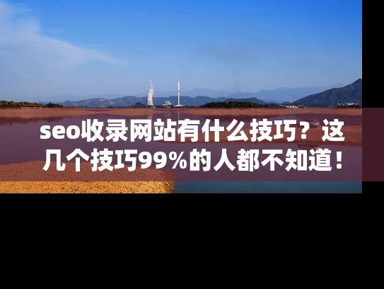 seo收录网站有什么技巧？这几个技巧99%的人都不知道！