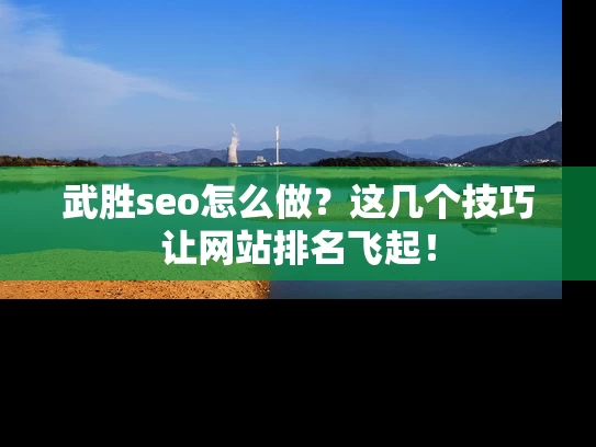 武胜seo怎么做？这几个技巧让网站排名飞起！
