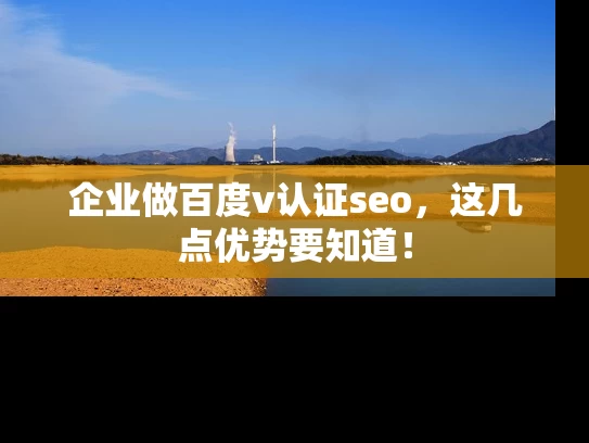 企业做百度v认证seo，这几点优势要知道！