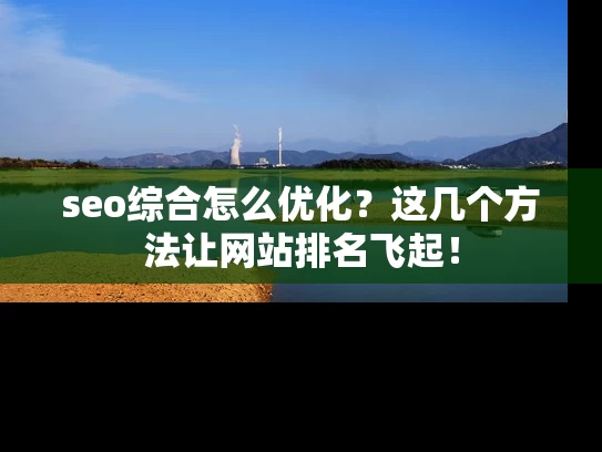 seo综合怎么优化？这几个方法让网站排名飞起！