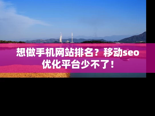 想做手机网站排名？移动seo优化平台少不了！