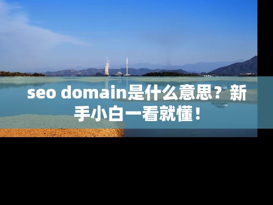 seo domain是什么意思？新手小白一看就懂！