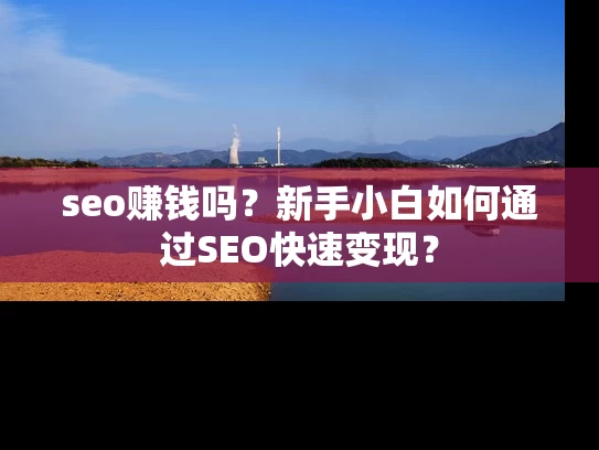 seo赚钱吗？新手小白如何通过SEO快速变现？