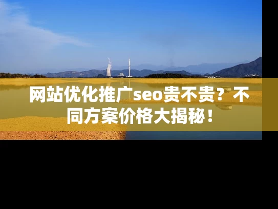 网站优化推广seo贵不贵？不同方案价格大揭秘！