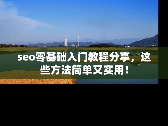 seo零基础入门教程分享，这些方法简单又实用！