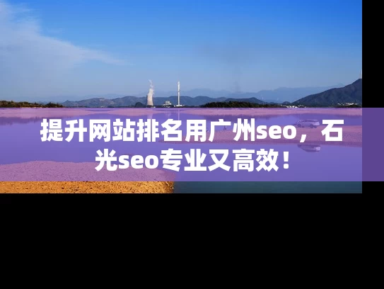 提升网站排名用广州seo，石光seo专业又高效！
