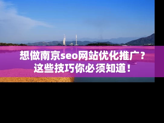 想做南京seo网站优化推广？这些技巧你必须知道！