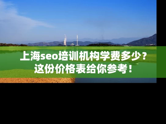 上海seo培训机构学费多少？这份价格表给你参考！