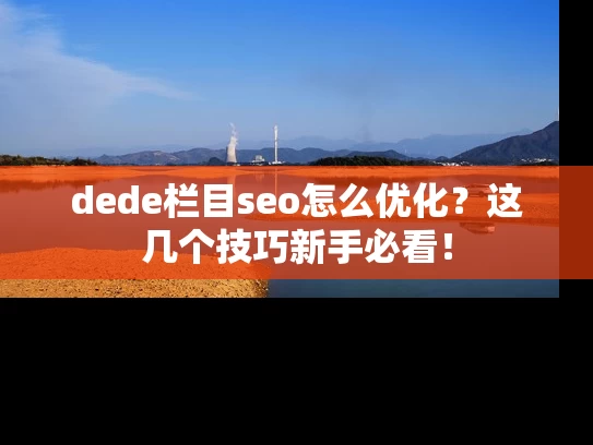 dede栏目seo怎么优化？这几个技巧新手必看！