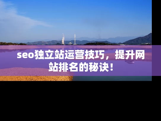 seo独立站运营技巧，提升网站排名的秘诀！