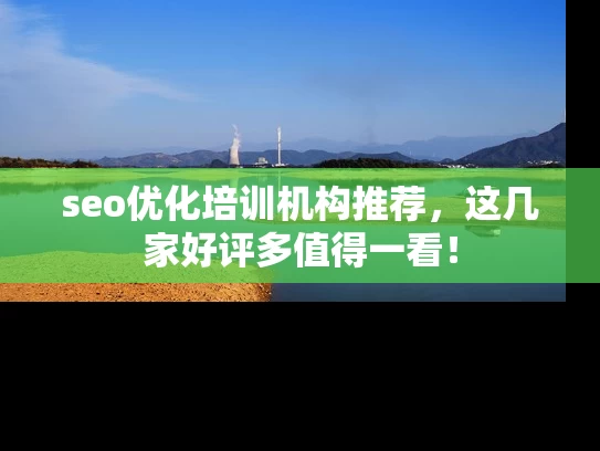 seo优化培训机构推荐，这几家好评多值得一看！