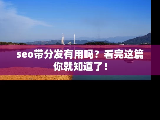 seo带分发有用吗？看完这篇你就知道了！