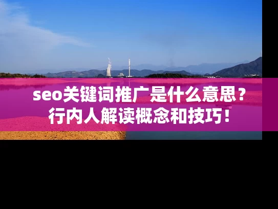 seo关键词推广是什么意思？行内人解读概念和技巧！