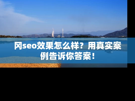冈seo效果怎么样？用真实案例告诉你答案！