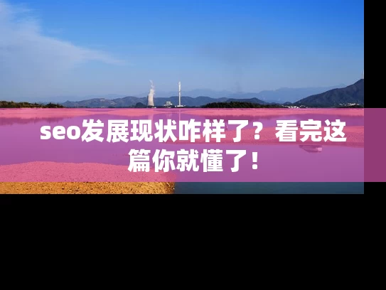 seo发展现状咋样了？看完这篇你就懂了！