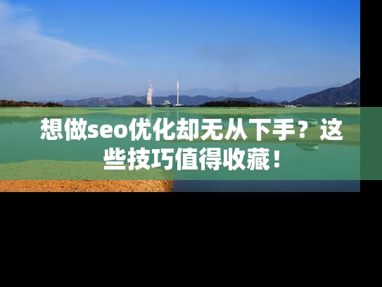 想做seo优化却无从下手？这些技巧值得收藏！