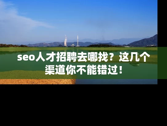 seo人才招聘去哪找？这几个渠道你不能错过！