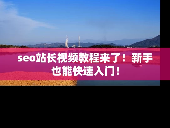 seo站长视频教程来了！新手也能快速入门！