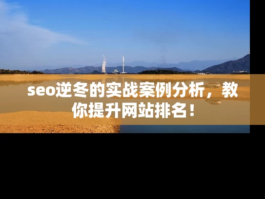 seo逆冬的实战案例分析，教你提升网站排名！