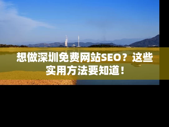 想做深圳免费网站SEO？这些实用方法要知道！