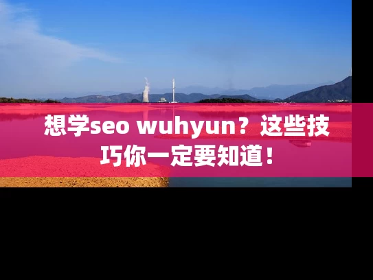 想学seo wuhyun？这些技巧你一定要知道！