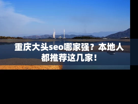 重庆大头seo哪家强？本地人都推荐这几家！
