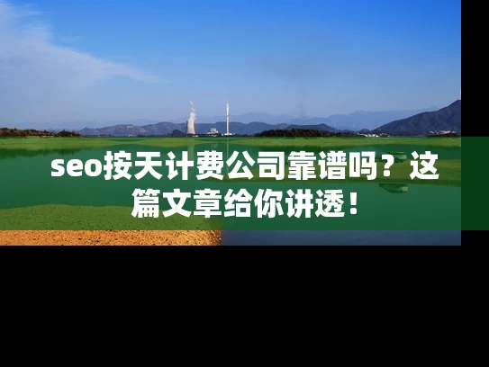 seo按天计费公司靠谱吗？这篇文章给你讲透！