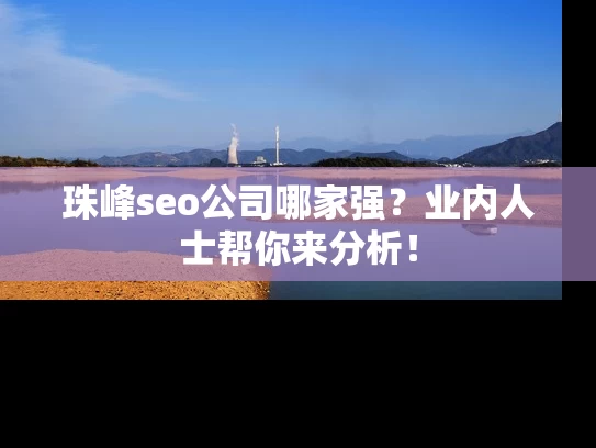 珠峰seo公司哪家强？业内人士帮你来分析！