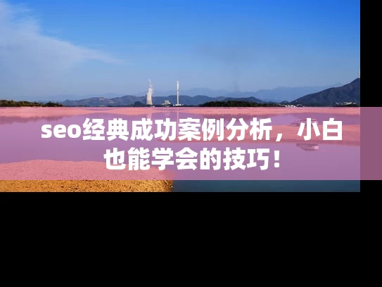 seo经典成功案例分析，小白也能学会的技巧！