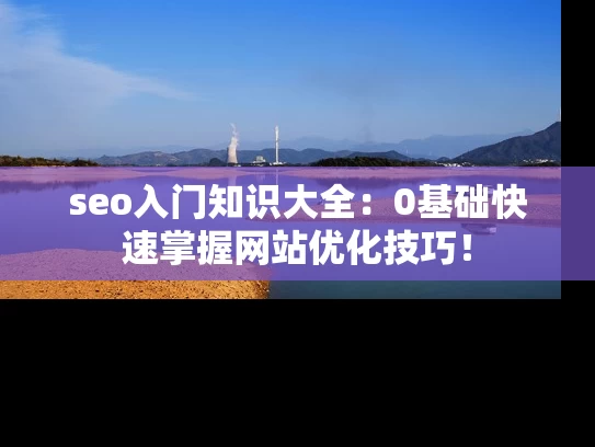 seo入门知识大全：0基础快速掌握网站优化技巧！