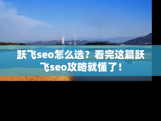 跃飞seo怎么选？看完这篇跃飞seo攻略就懂了！