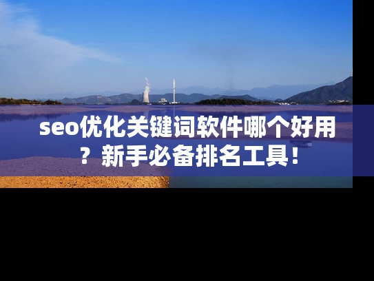 seo优化关键词软件哪个好用？新手必备排名工具！