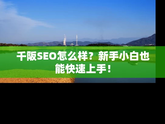 千阪SEO怎么样？新手小白也能快速上手！