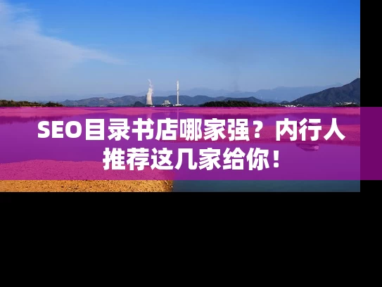SEO目录书店哪家强？内行人推荐这几家给你！