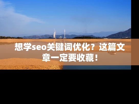 想学seo关键词优化？这篇文章一定要收藏！