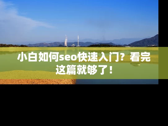小白如何seo快速入门？看完这篇就够了！