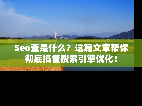Seo查是什么？这篇文章帮你彻底搞懂搜索引擎优化！