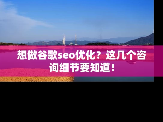 想做谷歌seo优化？这几个咨询细节要知道！