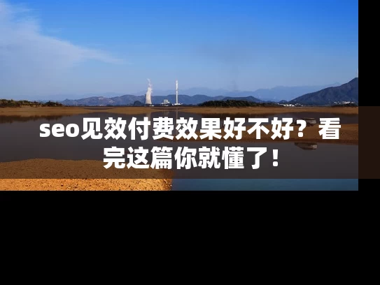 seo见效付费效果好不好？看完这篇你就懂了！