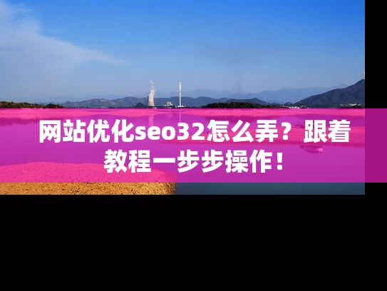 网站优化seo32怎么弄？跟着教程一步步操作！